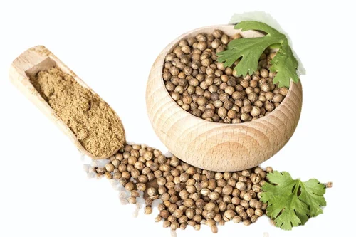 Coriander Seeds Exporter from India